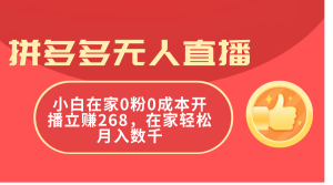 （11521期）拼多多无人直播，小白在家0粉0成本开播立赚268，在家轻松月入数千-创客聚集地