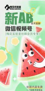 梅花实验室2024年AB技术视频号AB合成破解版-创客聚集地