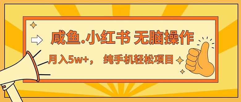 （11524期）2024最赚钱的项目，咸鱼，小红书无脑操作，每单利润500+，轻松月入5万+…-创客聚集地