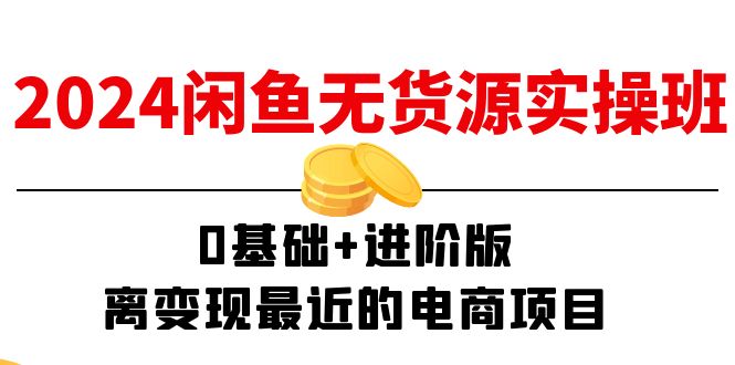 （11535期）2024闲鱼-无货源实操班：0基础+进阶版，离变现最近的电商项目（15节）-创客聚集地