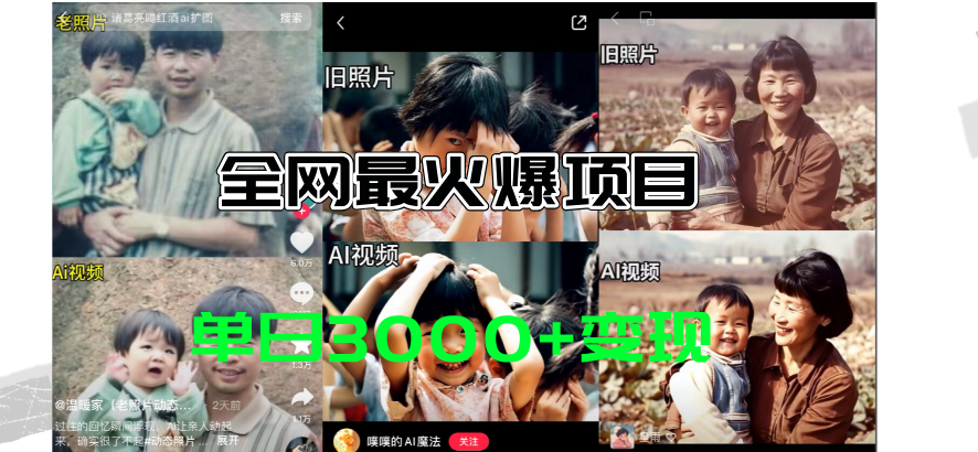 (11546期)全网爆火的AI让老照片动起来教程,蹭热点日赚3000+,内含免费工具一键…-创客聚集地