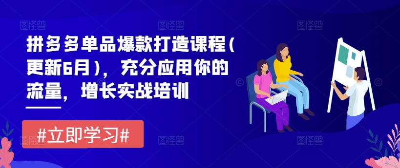 拼多多单品爆款打造课程(更新6月)，充分应用你的流量，增长实战培训-创客聚集地