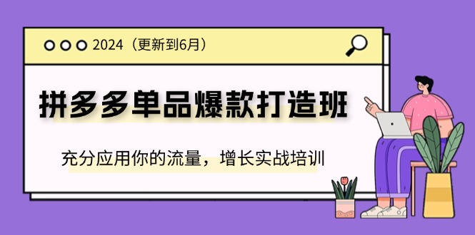 2024拼多多单品爆款打造班，充分应用你的流量，增长实战培训(更新6月)-创客聚集地