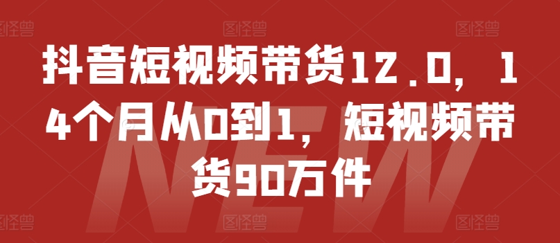 抖音短视频带货12.0，14个月从0到1，短视频带货90万件-创客聚集地
