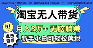 （11574期）淘宝无人带货3.0高收益玩法，月入3万+，无脑躺赚，新手小白可落地实操-创客聚集地