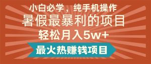 （11583期）小白必学，纯手机操作，暑假最暴利的项目轻松月入5w+最火热赚钱项目-创客聚集地