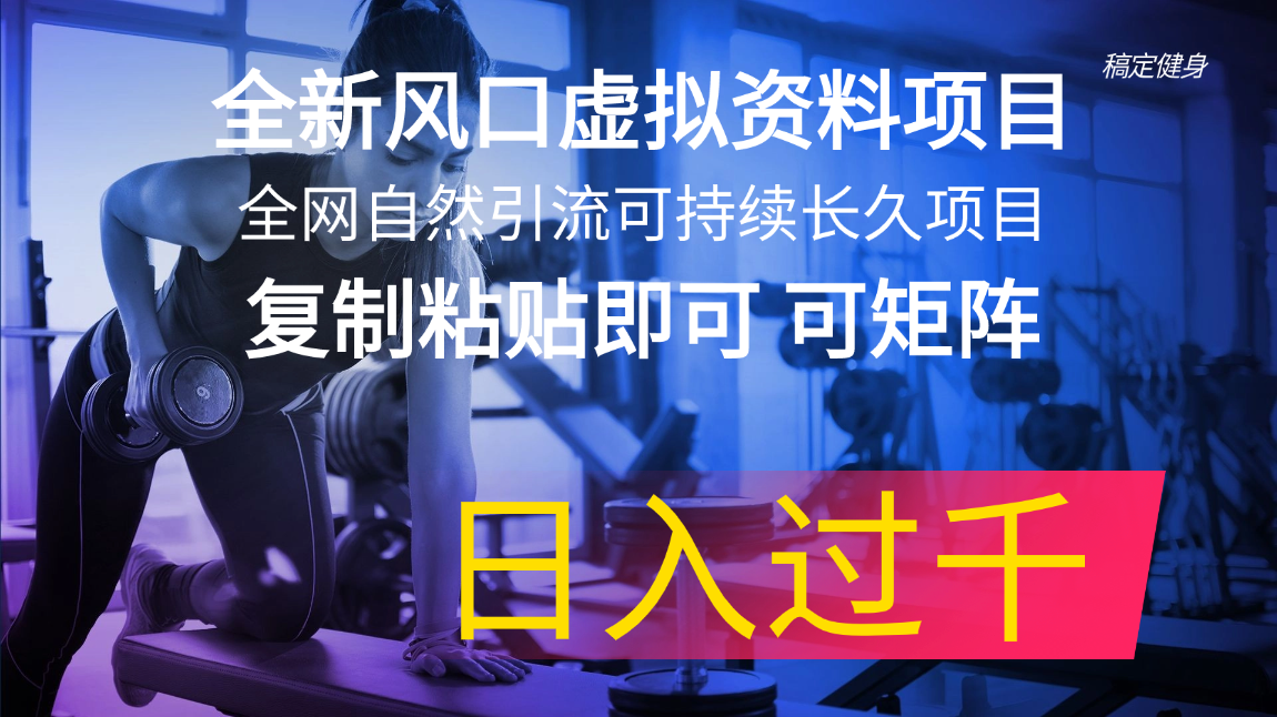 （11587期）全新风口虚拟资料项目 全网自然引流可持续长久项目 复制粘贴即可可矩阵…-创客聚集地