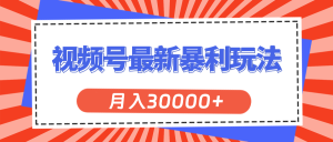 （11588期）视频号最新暴利玩法，轻松月入30000+-创客聚集地