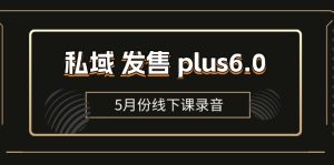 (11612期)私域 发售 plus6.0【5月份线下课录音】/全域套装 sop流程包,社群发售…-创客聚集地