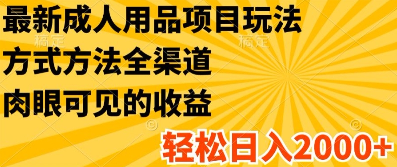 最新成人用品项目玩法，方式方法全渠道，轻松日入2K+-创客聚集地