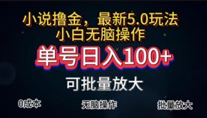 （11651期）全自动小说撸金，单号日入100+小白轻松上手，无脑操作-创客聚集地