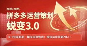 2024-2025拼多多运营策略蜕变3.0，0~1完美蜕变，解决信息焦虑-创客聚集地