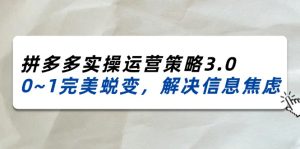 （11658期）2024_2025拼多多实操运营策略3.0，0~1完美蜕变，解决信息焦虑（38节）-创客聚集地