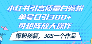 （11692期）小红书引高质量白领粉，单号日引300+，可放大操作，爆粉秘籍！30s一个作品-创客聚集地