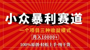 （11695期）视频号【中老年粉深信不疑】小众赛道 100%原创 手把手教学 新号3天收益…-创客聚集地