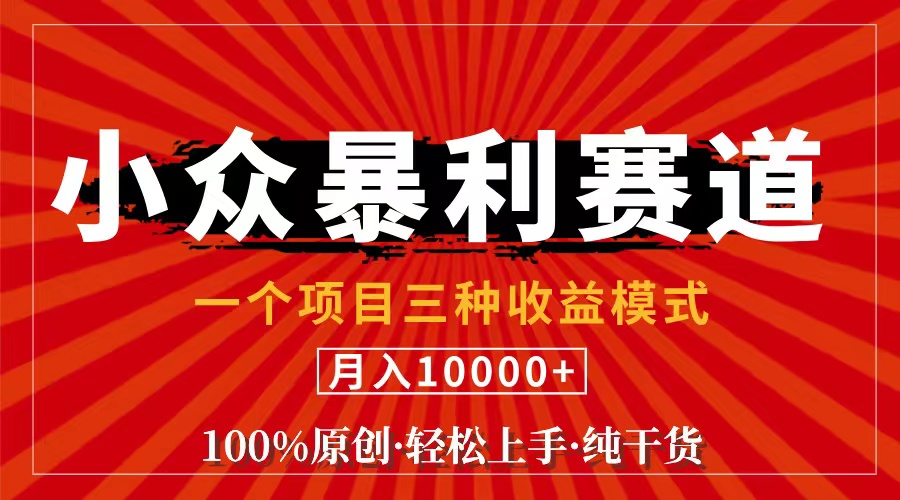 （11695期）视频号【中老年粉深信不疑】小众赛道 100%原创 手把手教学 新号3天收益…-创客聚集地