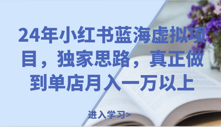 24年小红书蓝海虚拟项目，独家思路，真正做到单店月入一万以上。-创客聚集地