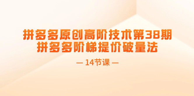 拼多多原创高阶技术第38期，拼多多阶梯提价破量法（14节课）-创客聚集地