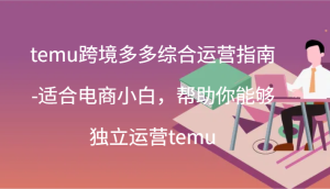 temu跨境多多综合运营指南-适合电商小白，帮助你能够独立运营temu(44节)-创客聚集地