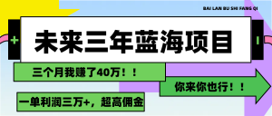 （11716期）未来三年，蓝海赛道，月入3万+-创客聚集地