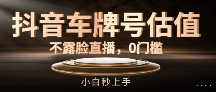 抖音车牌号估值，不露脸直播，0门槛，小白秒上手-创客聚集地