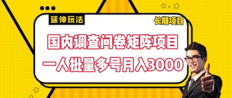 国内调查问卷矩阵项目，一人批量多号月入3000-创客聚集地