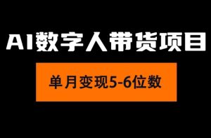 （11751期）2024年Ai数字人带货，小白就可以轻松上手，真正实现月入过万的项目-创客聚集地