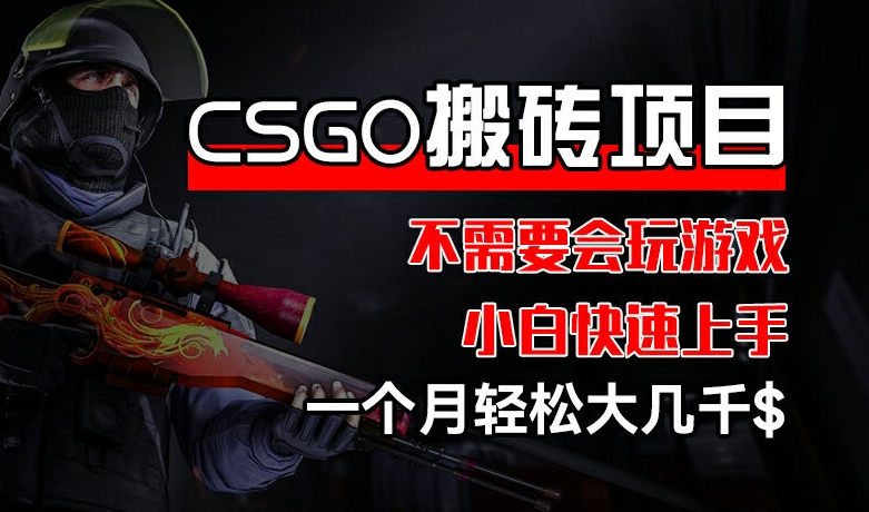 CSGO 装备搬砖项目，操作简单，不需要会玩游戏，小白也能快速上手，一个月轻松大几千-创客聚集地