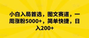 小白入局首选，图文赛道，一周涨粉5000+，简单快捷，日入200+-创客聚集地