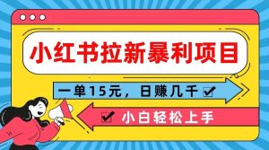 小红书拉新暴利项目，一单15元，日赚几千小白轻松上手-创客聚集地
