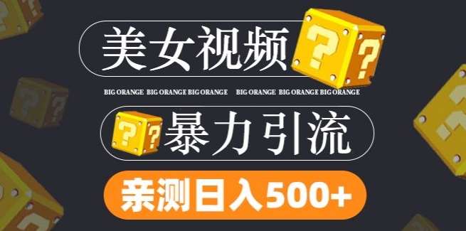搬运tk美女视频全网分发，日引s粉300+，轻松变现，不限流量不封号【揭秘】-创客聚集地