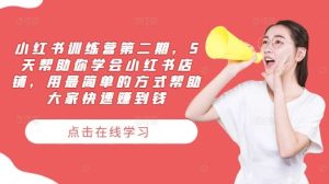 小红书训练营第二期，5天帮助你学会小红书店铺，用最简单的方式帮助大家快速赚到钱-创客聚集地