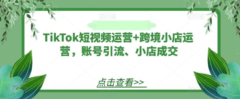 TikTok短视频运营+跨境小店运营，账号引流、小店成交-创客聚集地