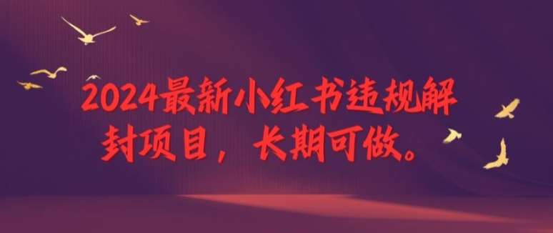 2024最新小红书违规解封项目，长期可做，一个可以做到退休的项目【揭秘】-创客聚集地