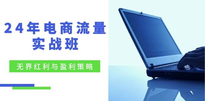 （12168期）24年电商流量实战班：无界 红利与盈利策略，终极提升/关键词优化/精准…-创客聚集地