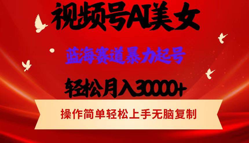 （12178期）视频号AI美女跳舞，轻松月入30000+，蓝海赛道，流量池巨大，起号猛，当…-创客聚集地