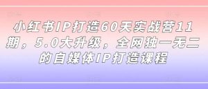 小红书IP打造60天实战营11期,5.0大升级,全网独一无二的自媒体IP打造课程-创客聚集地