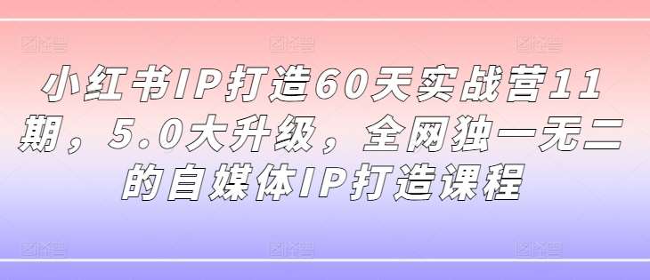 小红书IP打造60天实战营11期，5.0大升级，全网独一无二的自媒体IP打造课程-创客聚集地