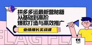 (12260期)拼多多运最新营秘籍:业绩 增长实战课,从基础到高阶,爆款打造与高效推广-创客聚集地