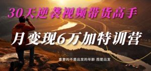 30天逆袭视频带货高手，单月变现6万加特训营-麦子甜-创客聚集地