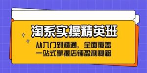 （12276期）淘系实操精英班：从入门到精通，全面覆盖，一站式掌握店铺盈利秘籍-创客聚集地
