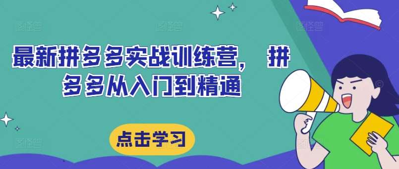最新拼多多实战训练营， 拼多多从入门到精通-创客聚集地