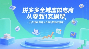 拼多多全域虚拟电商从零到1实操课，小白虚拟电商从0到1实操到精通-创客聚集地