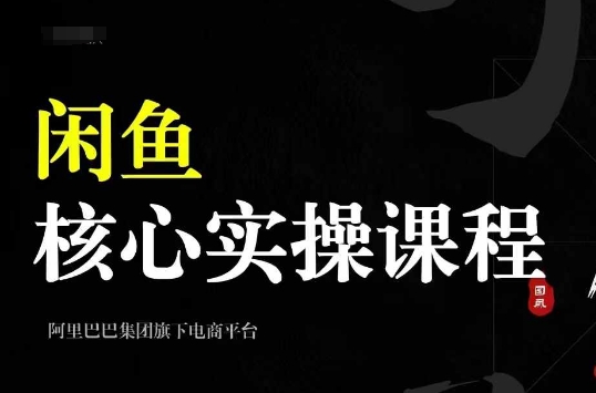 2024闲鱼核心实操课程，从养号、选品、发布、销售，教你做一个出单的闲鱼号-创客聚集地