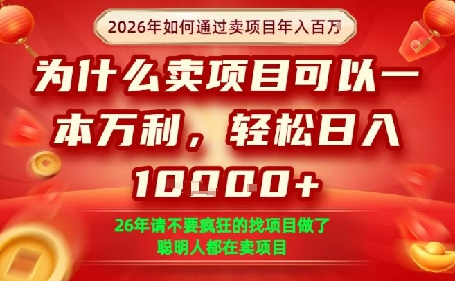 一单净利润1K+，26年想年入100个W，死磕卖项目就够了【揭秘】-创客聚集地