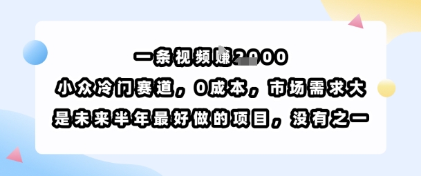 一条视频挣1k，小众冷门赛道，0成本，市场需求大，是未来半年最好做的项目，没有之一-创客聚集地