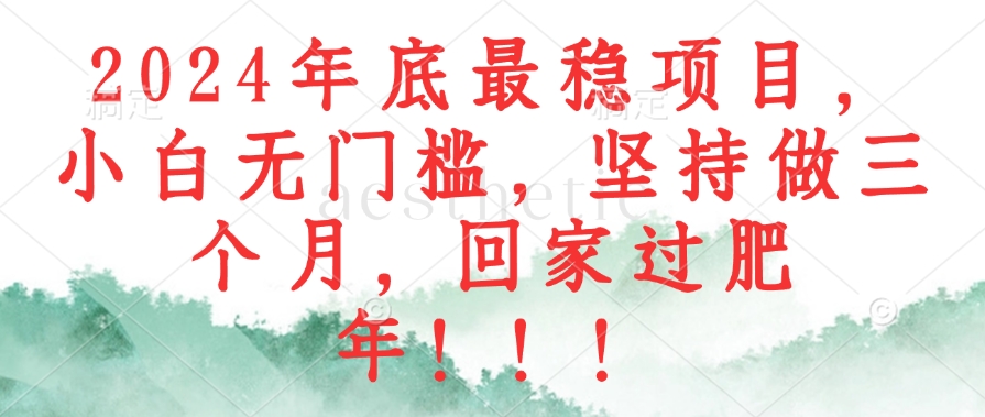 2024年底最稳项目，小白无门槛，坚持做三个月，回家过肥年！！！-创客聚集地