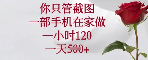 你只管截图，一部手机在家做，一小时120.一天5张【揭秘】-创客聚集地