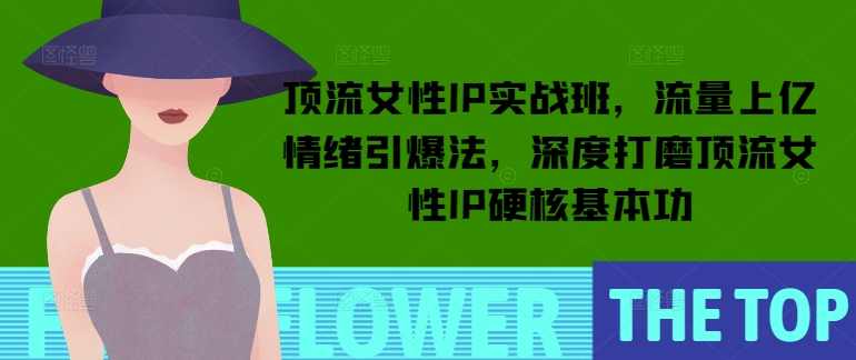 顶流女性IP实战班，流量上亿情绪引爆法，深度打磨顶流女性IP硬核基本功-创客聚集地