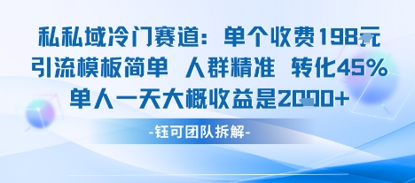 私域冷门赛道单个收费198米引流模板简单人群精准 45%的转化率单人一天大概收益多张-创客聚集地